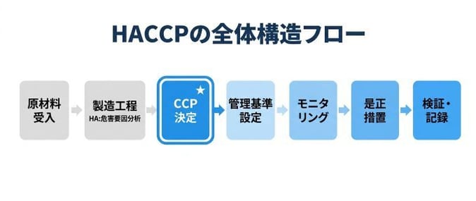 CCP_01