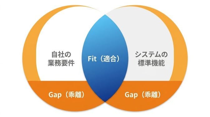 Fit&Gap_01