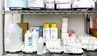 gogo_dental02-1