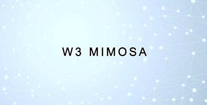 「W3 MIMOSA」